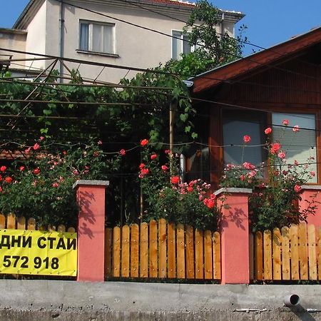 Guesthouse Elena Белоградчик Экстерьер фото